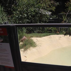 Freshwater Crocodile Enclosure