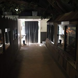 Reptile Barn