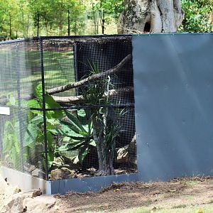 Carpet Python Enclosure