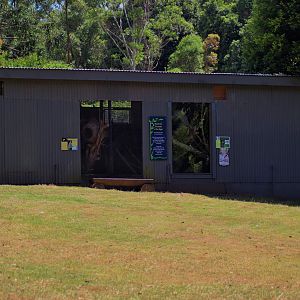 Nocturnal Animal Area