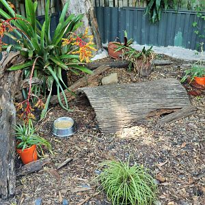 Echidna Enclosure