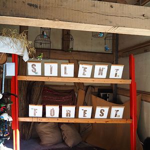 Silent Forest campaign display (Oct 13th, 2018)