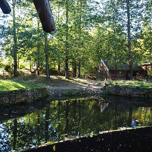 South American tapir exhibit (Oct 13th, 2018)