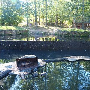 Coypu and South American tapir exhibits (Oct 13th, 2018)