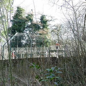Sumatran tiger enclosure, January 2019