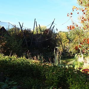 Woolly monkey island (Oct 13th, 2018)