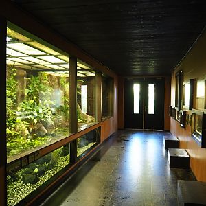 View in Tapir Terrarium House (Oct 13th, 2018)