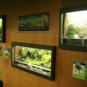 Terrarium wall (Oct 13th, 2018)