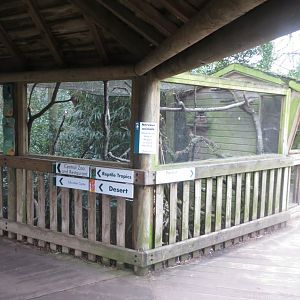Pygmy marmoset and Goeldi's monkey enclosure 050119