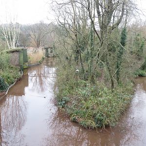Red-crowned crane island 050119