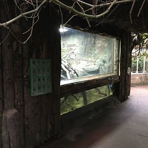 Tropical House exhibit 050119