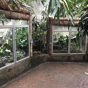 Tropical house exhibits 050119
