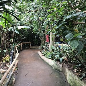 Tropical House 050119