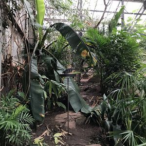 Aviary between Tropical House and Desert House 050119