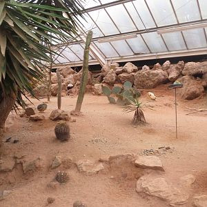 Desert House 050119