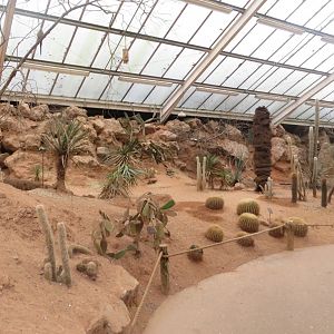Desert House 050119
