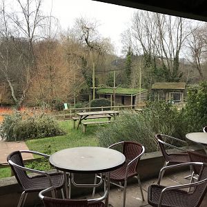 View of Marabou aviary from restaurant 050119