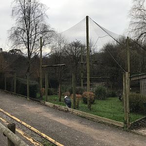 Marabou exhibit 050119