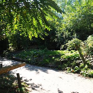 View in the Amazonia aviary (Oct 13th, 2018)