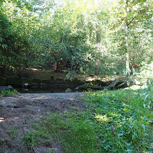 Amazonia walk-through aviary (Oct 13th, 2018)