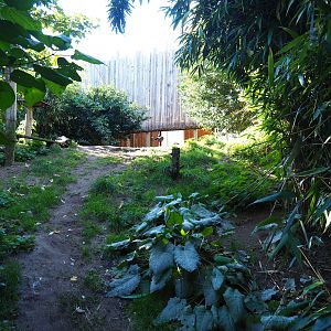 Amazonia aviary (Oct 13th, 2018)