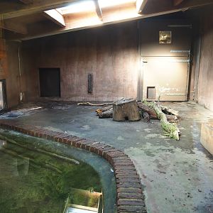 Giant anteater indoor exhibit (Oct 13th, 2018)