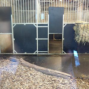 Capybara stables (Oct 13th, 2018)