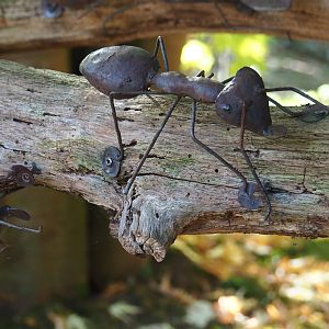 Leafcutter ant metal artwork (Oct 13th, 2018)
