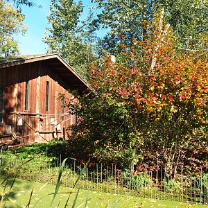 Red-faced spider monkey house and island (Oct 13th, 2018)