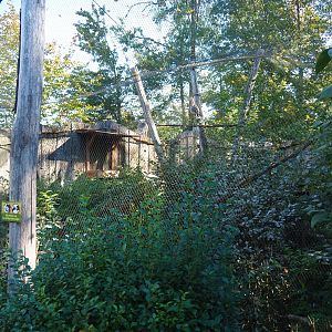 Red-legged seriema aviary (Oct 13th, 2018)