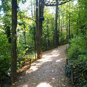 View in the Bolivian squirrel monkey forest (Oct 13th, 2018)