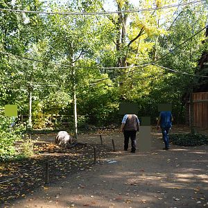 View in the Bolivian squirrel monkey forest (Oct 13th, 2018)