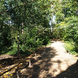 View in the Bolivian squirrel monkey and Venezuelan red howler monkey forest (Oct 13th, 2018)