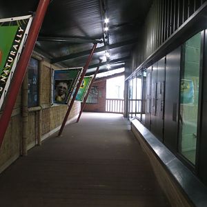 Monkey Heights 050119