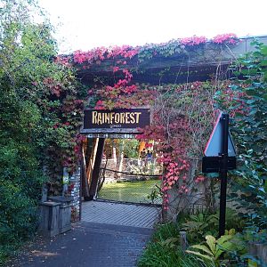 Entrance to Congo area (Oct 13th, 2018)