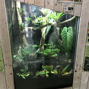 Amphibian Ark - Mixed exhibit 050119