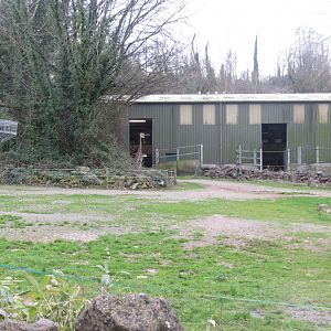 Giraffe enclosure 050119