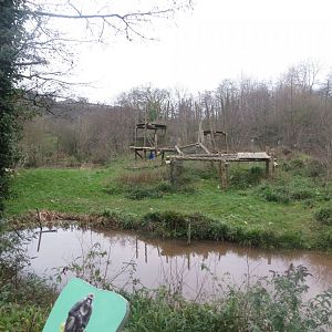 Gorilla outdoors 050119