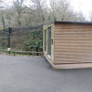 Ring-tailed lemur enclosure 050119