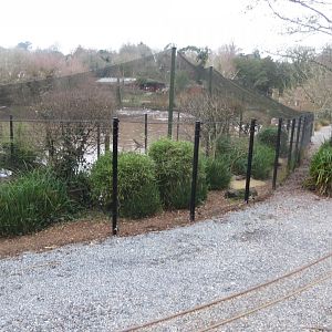 Waterfowl aviary 050119