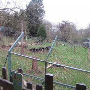 Sumatran tiger enclosure 050119