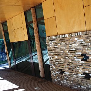 Western lowland gorilla and Black crested mangabey indoor housing viewing (Oct 13th, 2018)