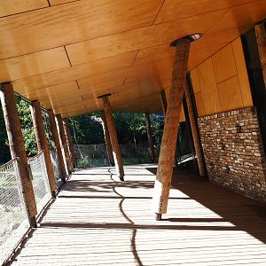 Visitor area next to the gorilla house (Oct 13th, 2018)