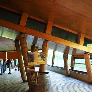 Gorilla house visitor area (Oct 13th, 2018)