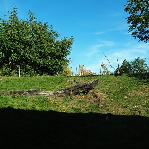 View onto the Western lowland gorilla - Black crested mangabey island from the gorilla house visitor area (Oct 13th, 2018)