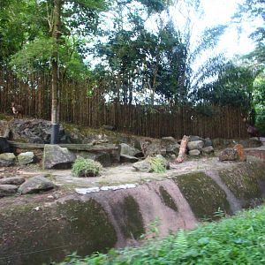 Tram Safari - Himalayan Tahr