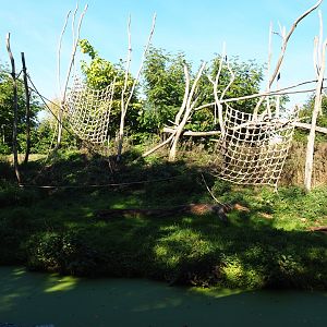 Western lowland gorilla - Black crested mangabey island (Oct 13th, 2018)
