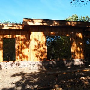 New weaver bird house (Oct 13th, 2018)