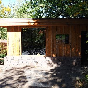 South African bat-eared fox house (Oct 13th, 2018)