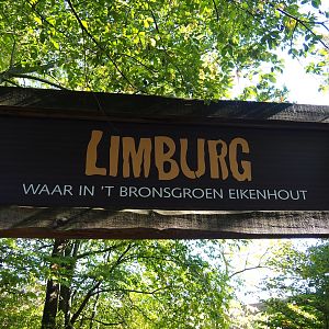 Limburg sign (Oct 13th, 2018)